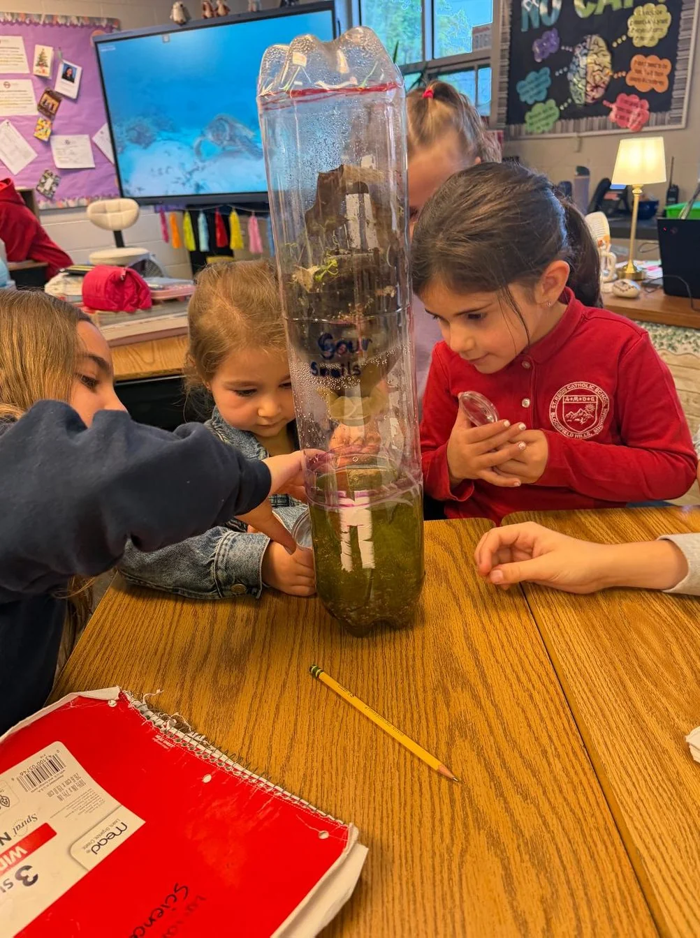 Young students observing a plant experiment in a bottle
