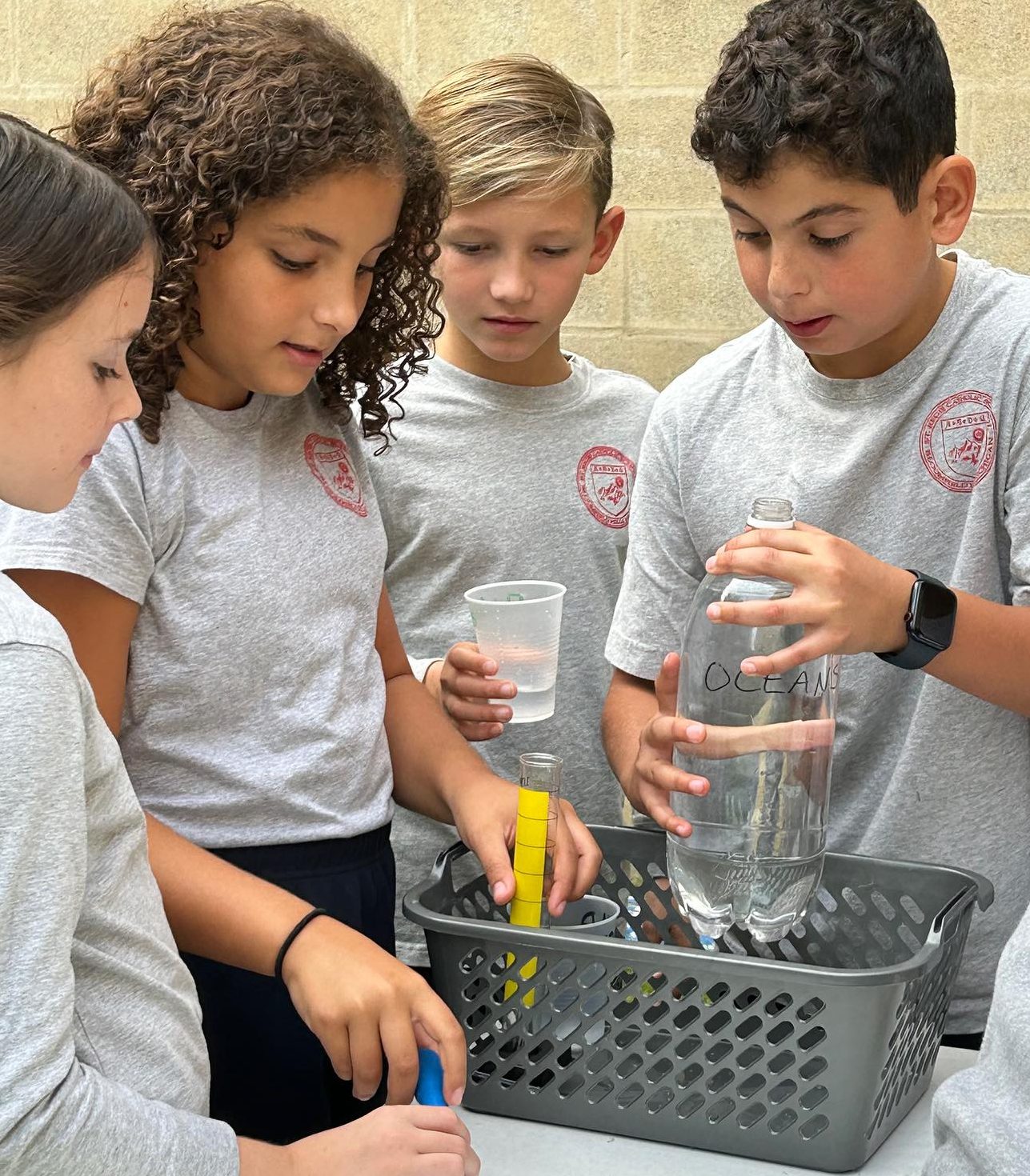 Students working together on a hands-on science activity